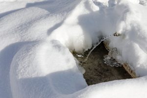 sewer repair services in Seattle, WA