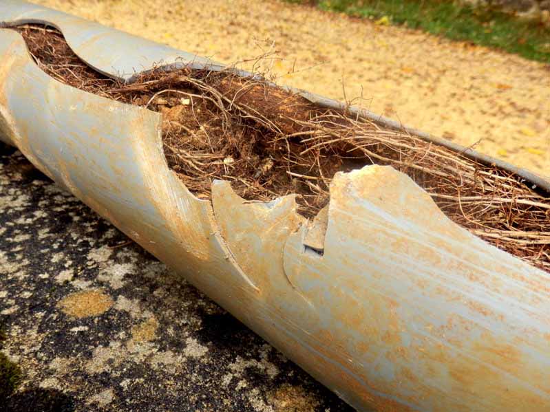 damaged sewer pipes damaged sewer pipes
