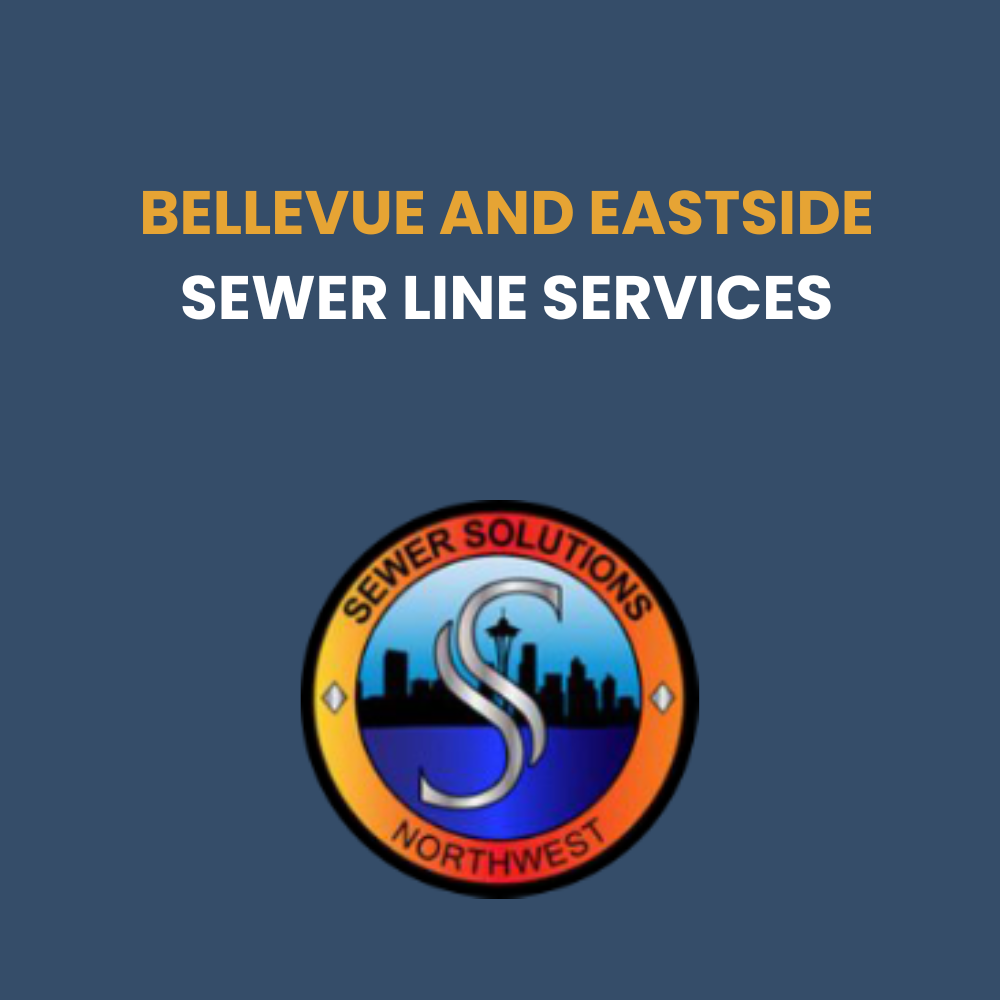 bellevue eastside sewer line services