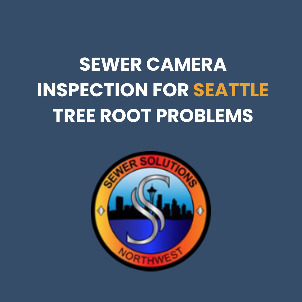 sewer camera inspection seattle tree root problems