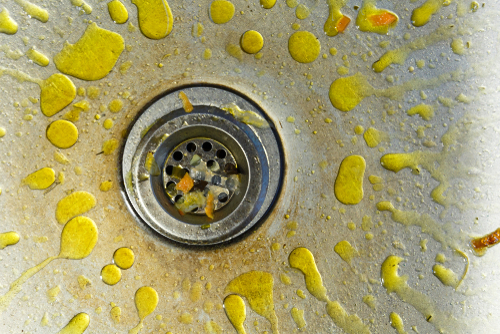 drain cleaning Bothell WA