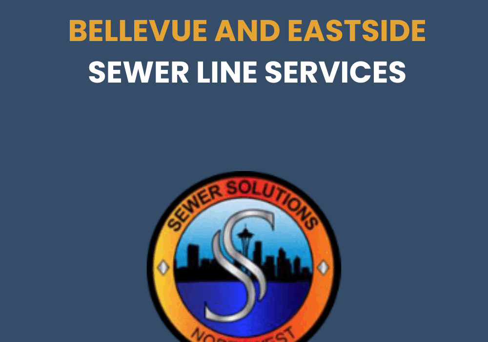 bellevue eastside sewer line services