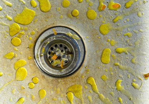 drain cleaning Bothell WA