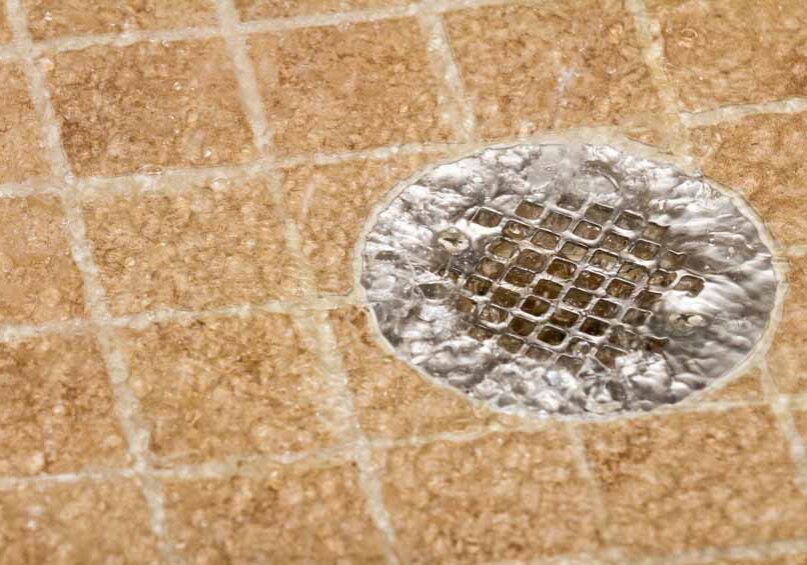 How Clogs Can Affect More Than Just Your Drains