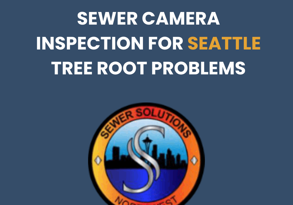 sewer camera inspection seattle tree root problems
